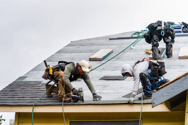 Professional Storm Damage Roof Repair technician working in Oreana, IL